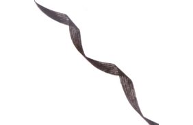 лента нитепрошивная 10мм цв черный (рул 100м) danelli l4yp44 купить по 148 - в интернет - магазине Веллтекс | Кострома
.